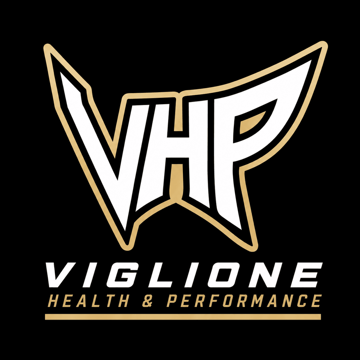 VHP Logo